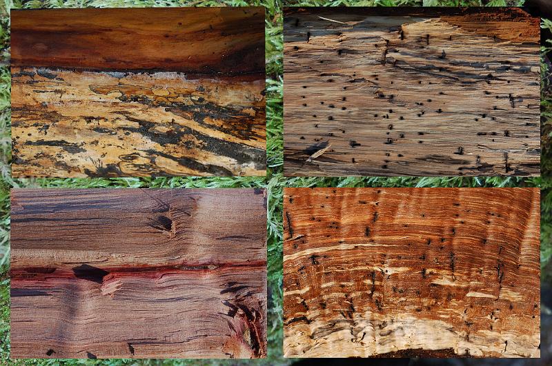 Wood Grain Mosaic.jpg - A collage shows grains from several of the freshly split pieces.